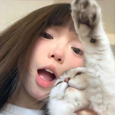 父仇者